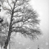 annecy neige studio prezzo annecy 2021 NUM0032 neige int